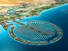 Palm Deira