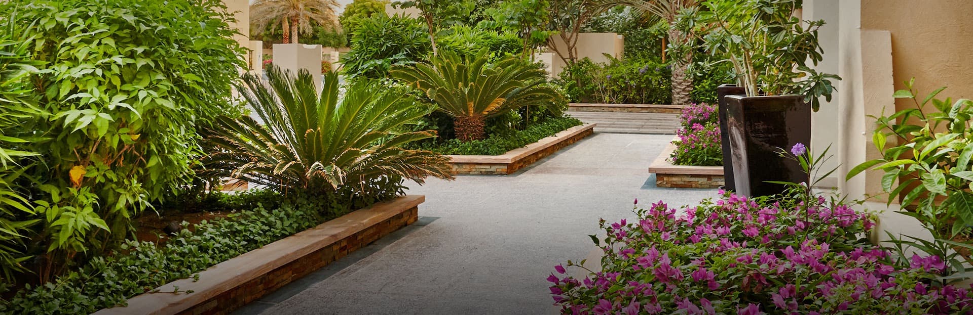 Roof Garden