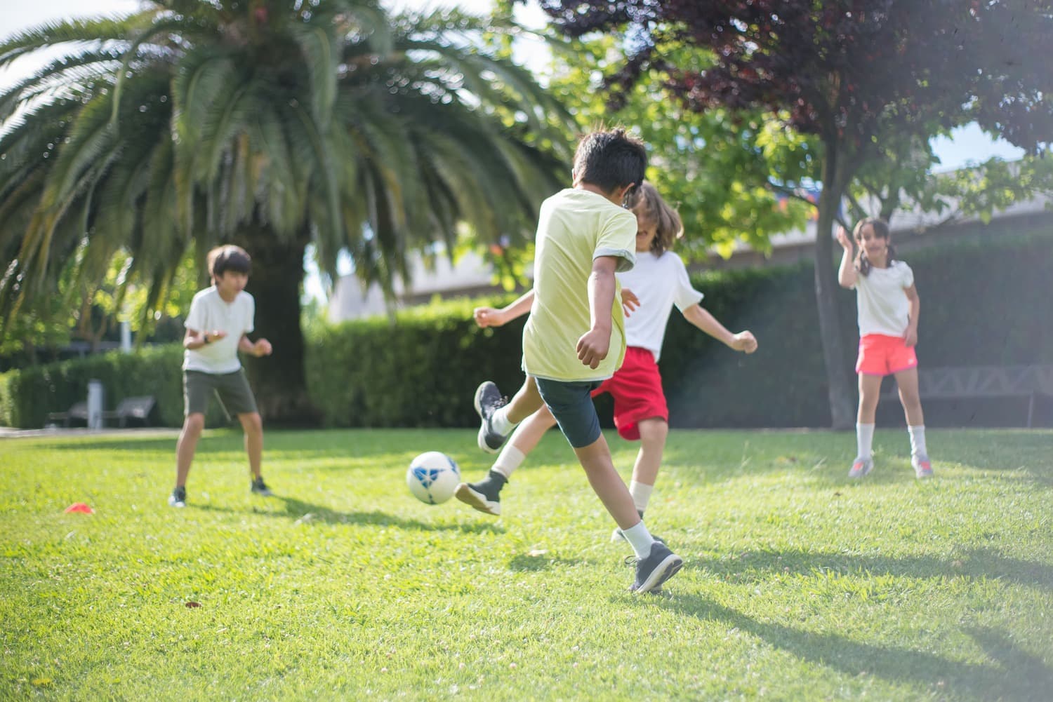 Football Arenas