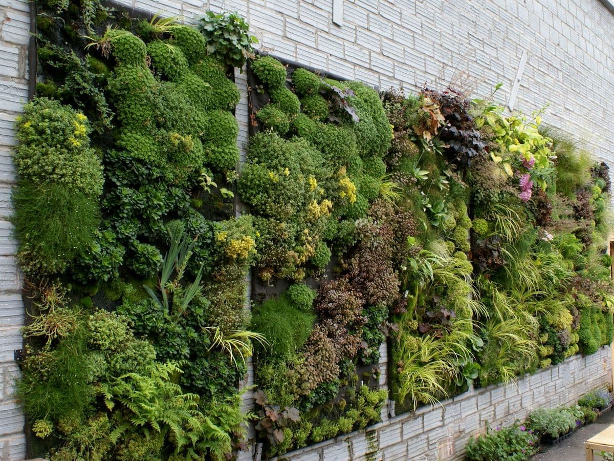 Vertical Garden