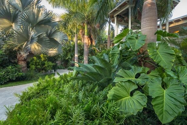 Lush Green Zones