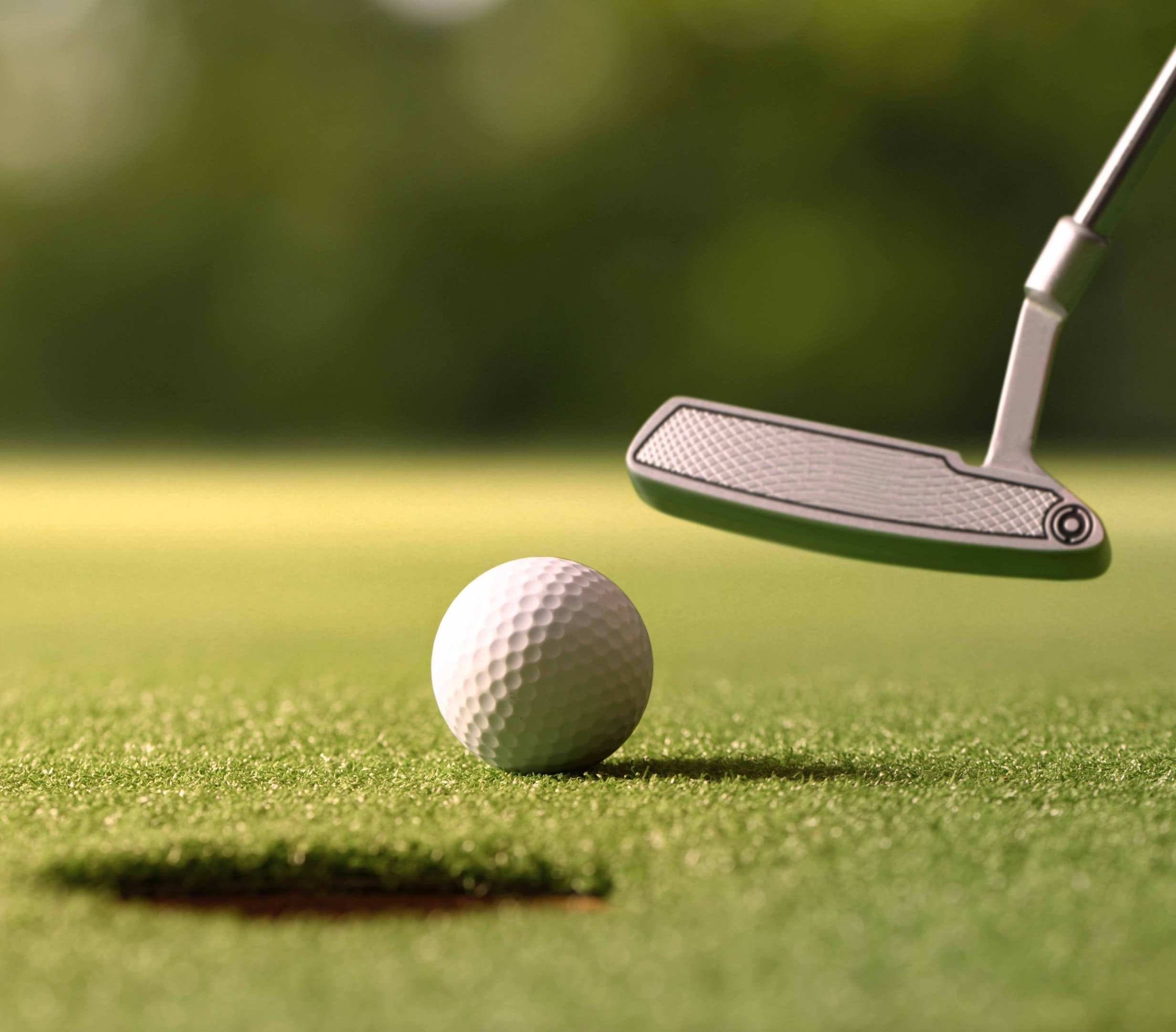 Mini Golf Court 