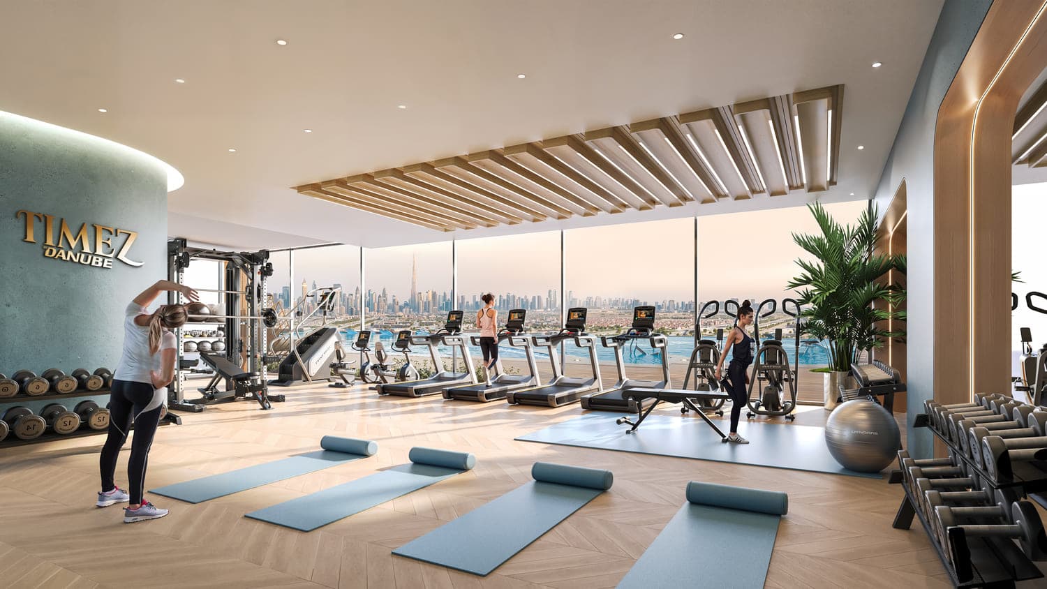 Outdoor & Indoor Gyms