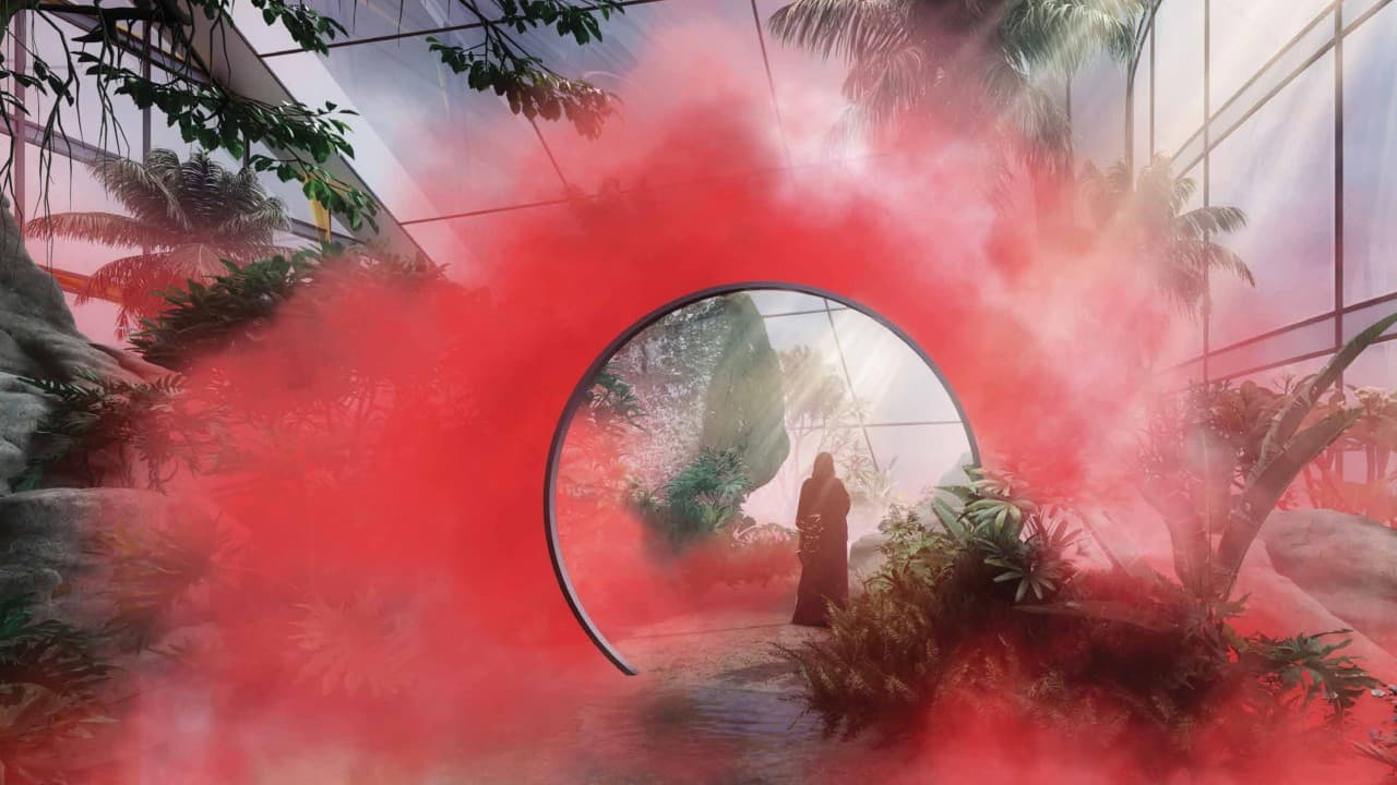 Fog Forest