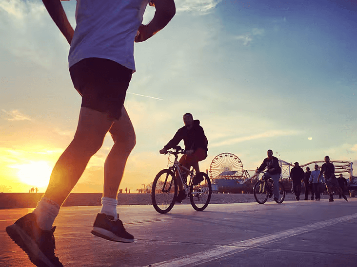 Jogging And Cycling Paths