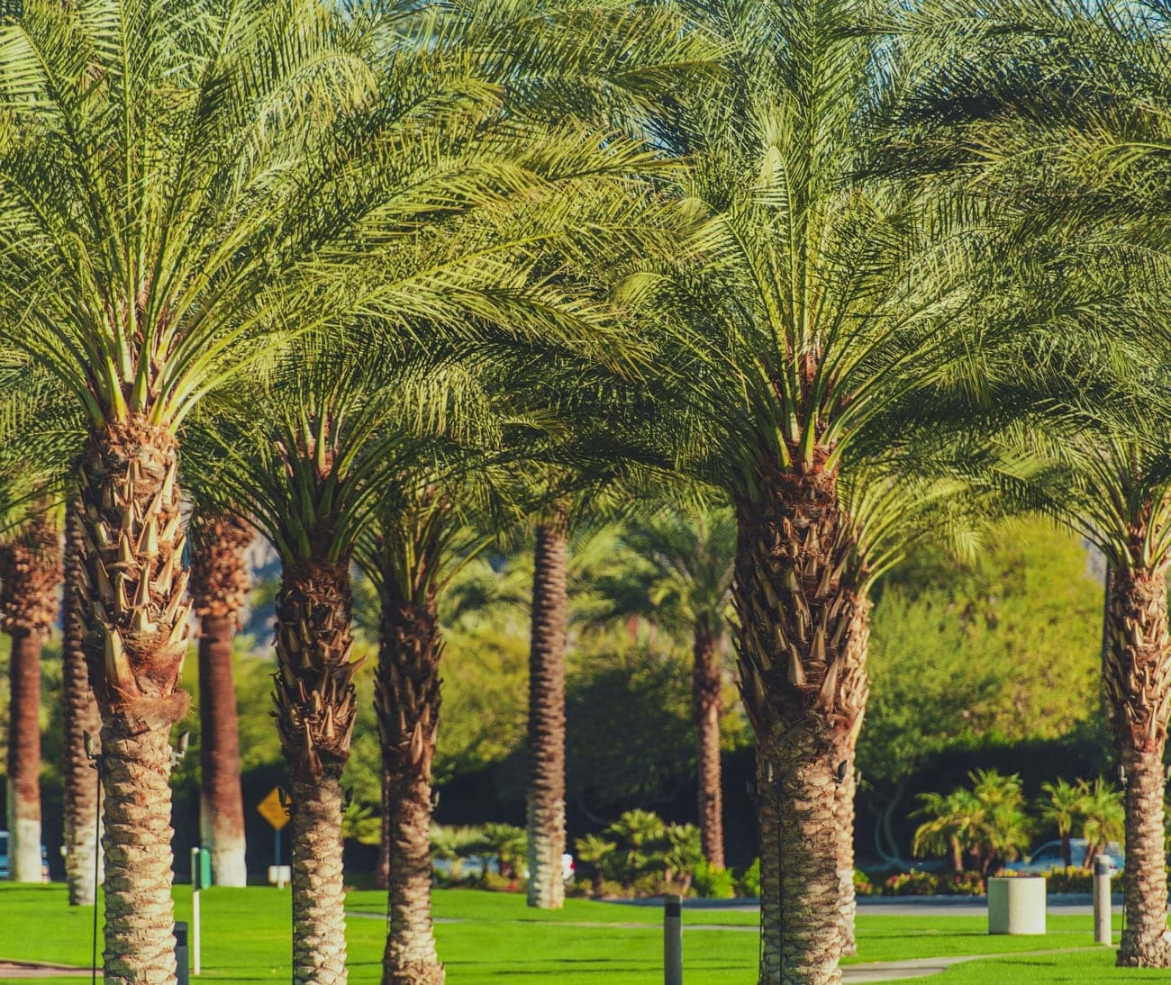Green Areas