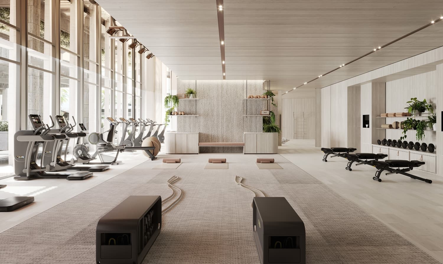 Gym