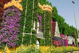 Open Gardens