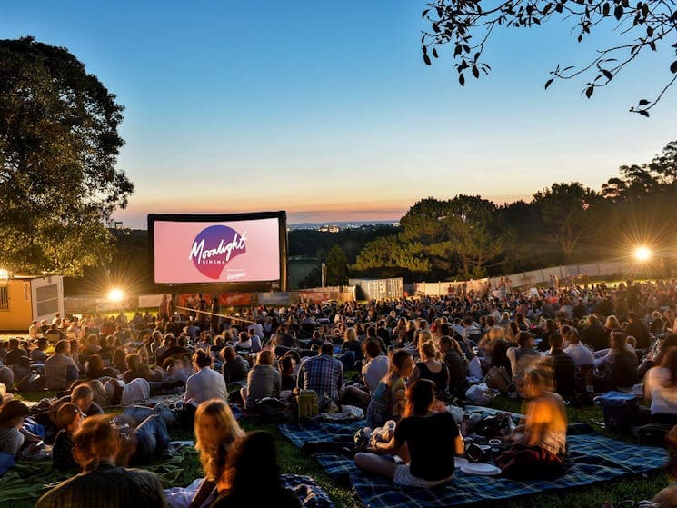 Outdoor Cinema