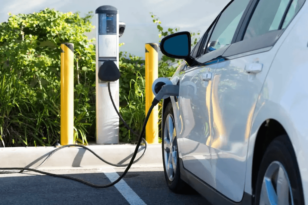 Electrical Vehicle Parking
