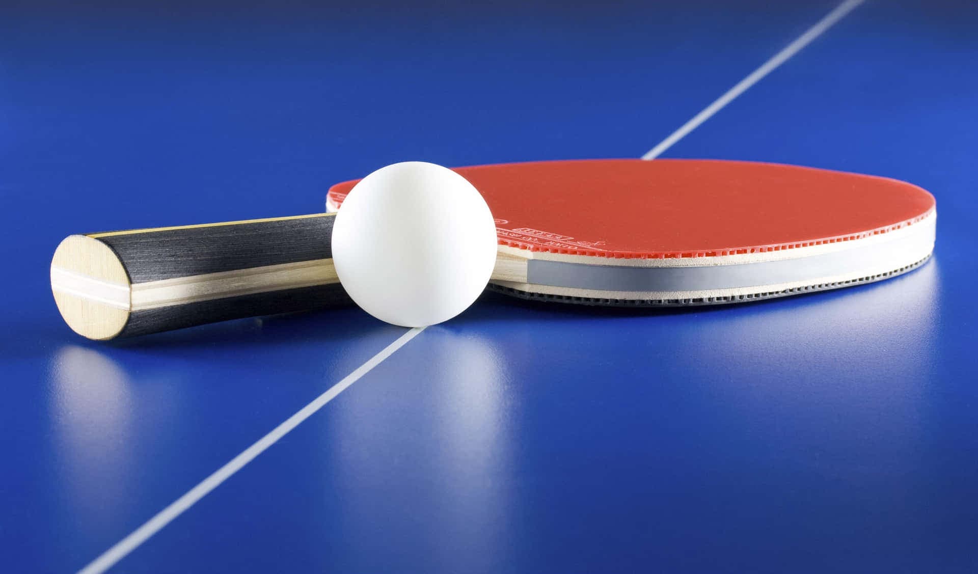 Outdoor Table Tennis
