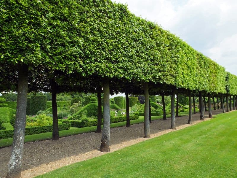 Landscaped Gardens