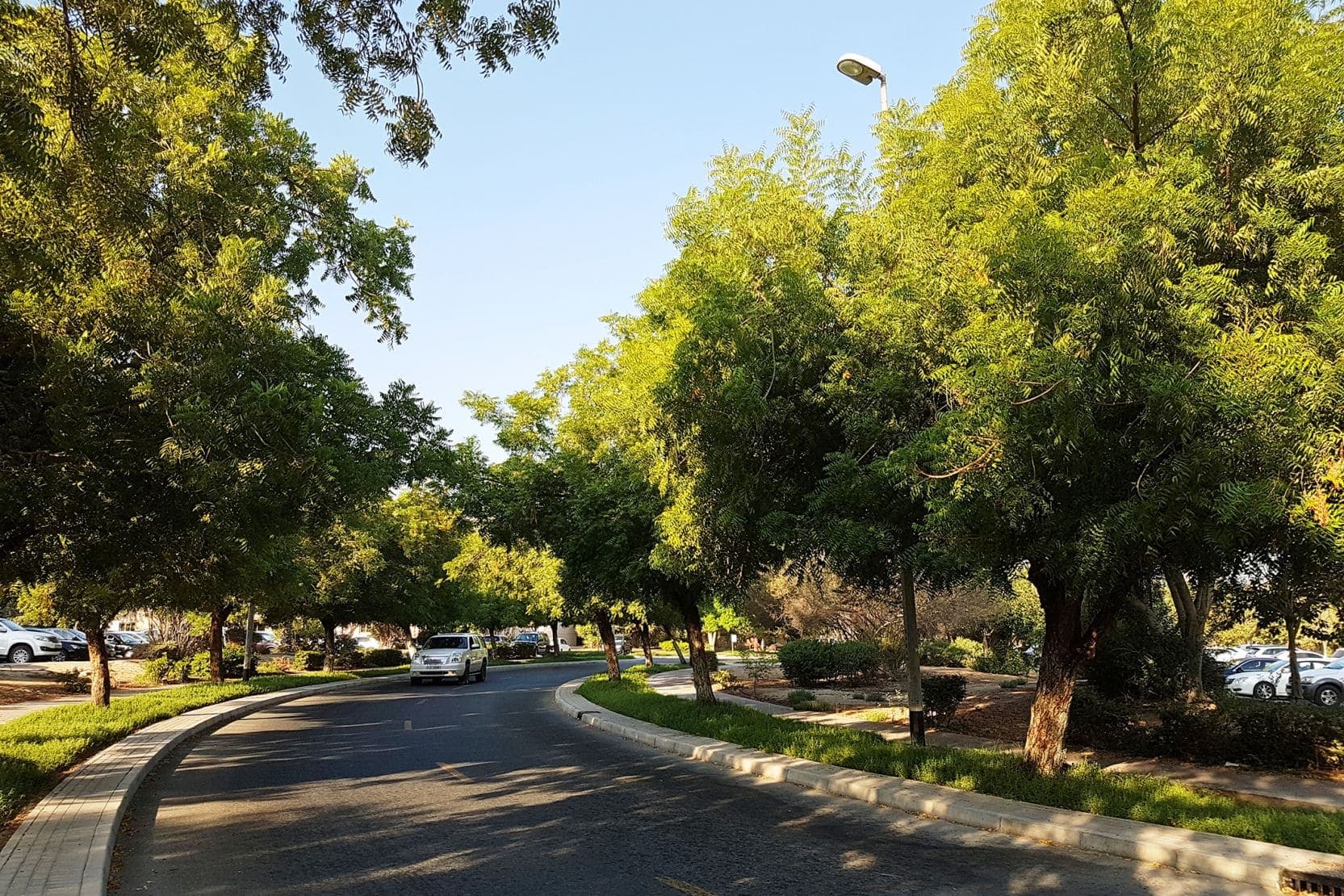 Parks & Gardens
