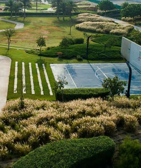 Basketball Court