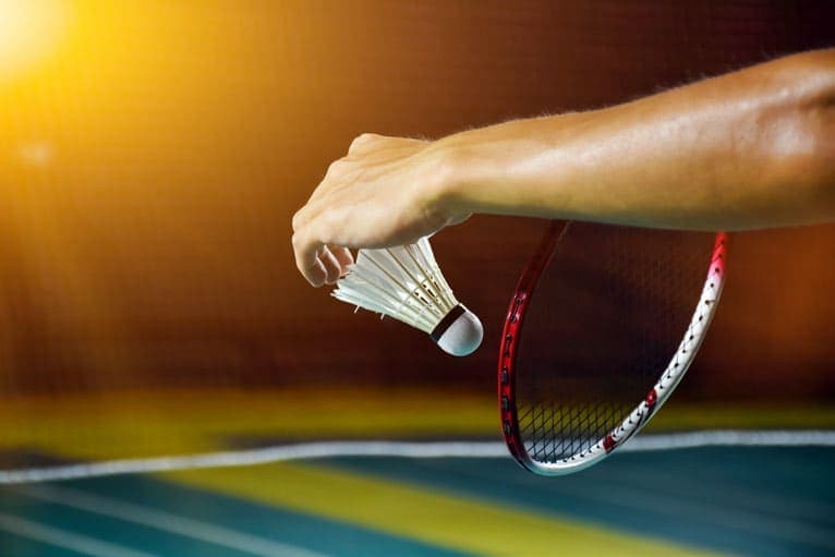 Paddle Tennis Court | Badminton Court 