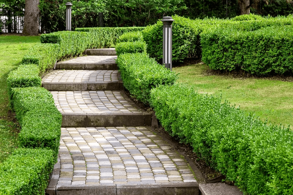 Landscaped Walk-In Areas