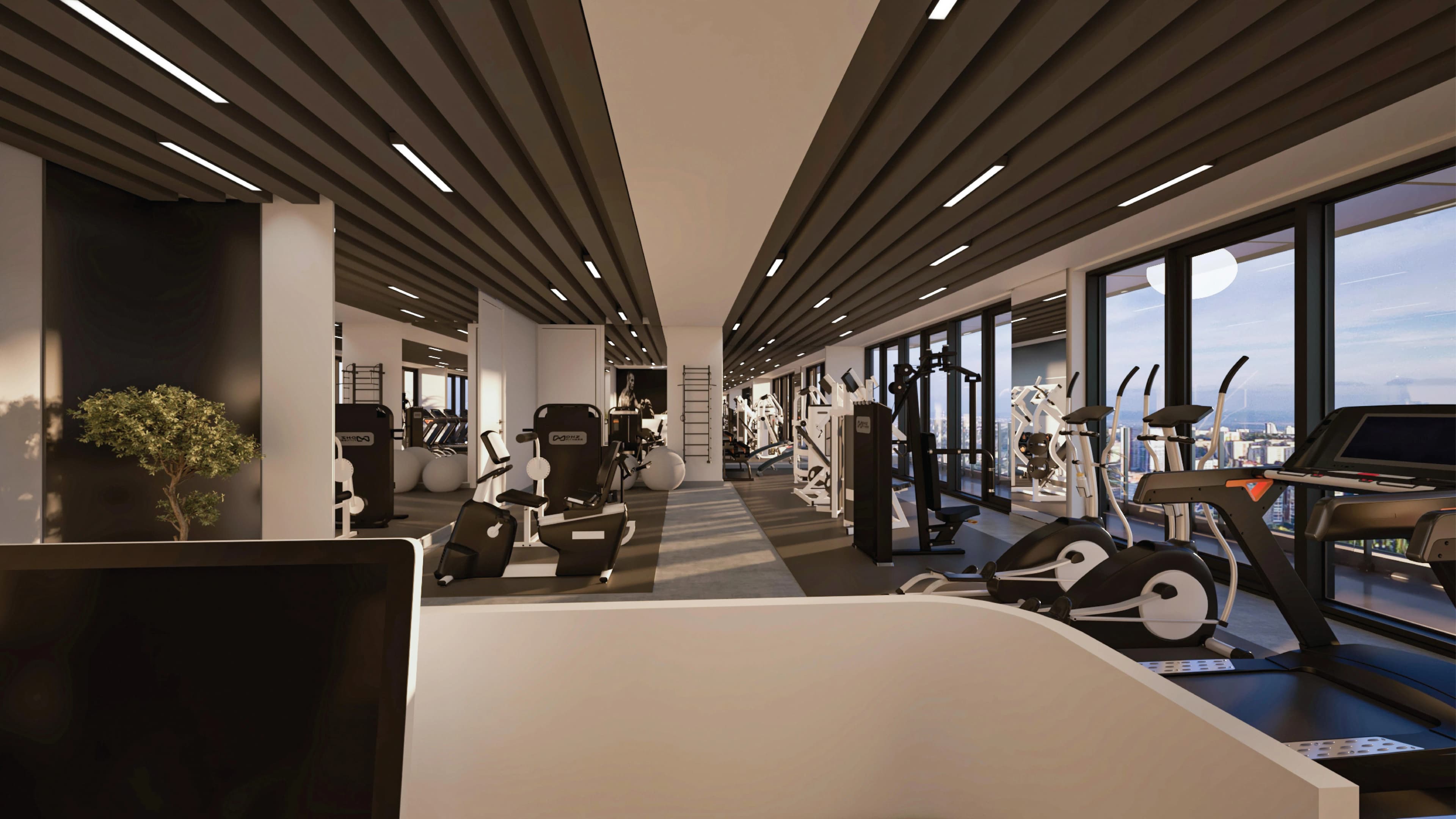 Gym