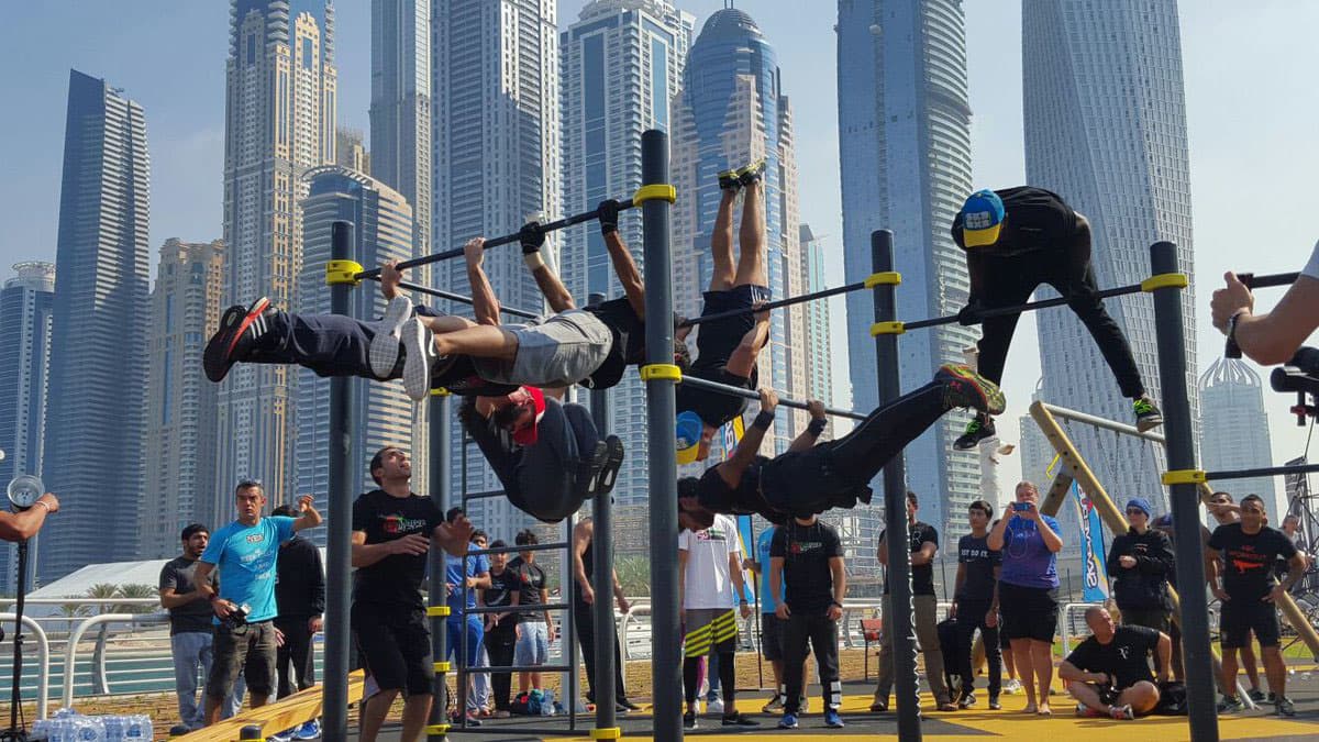 Outdoor Gymnasium / Yoga