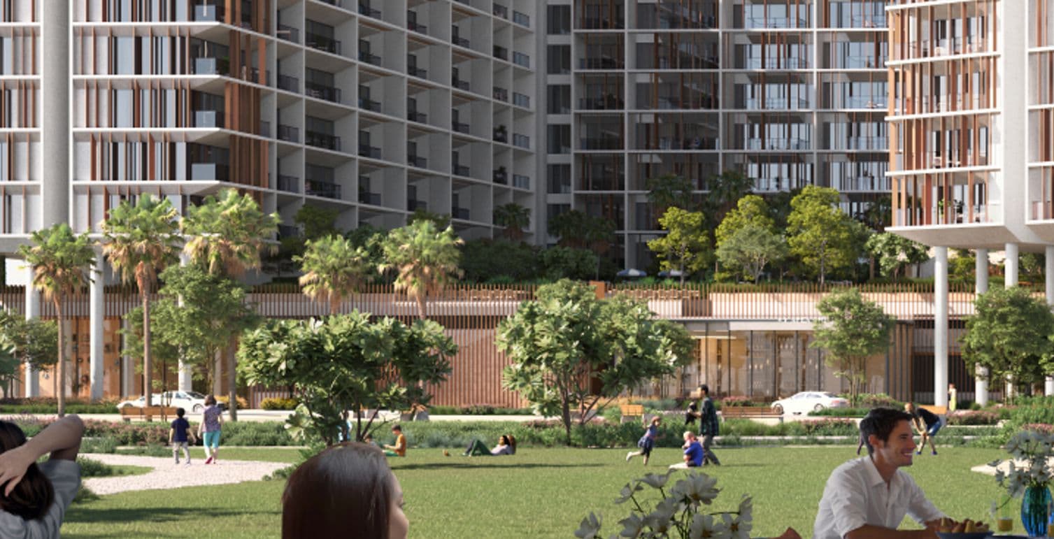 Green Lawn & Dog Park