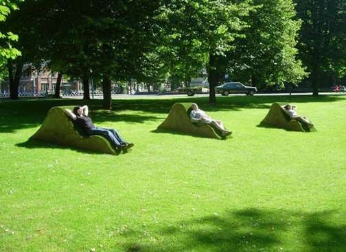 Lawn With Seating