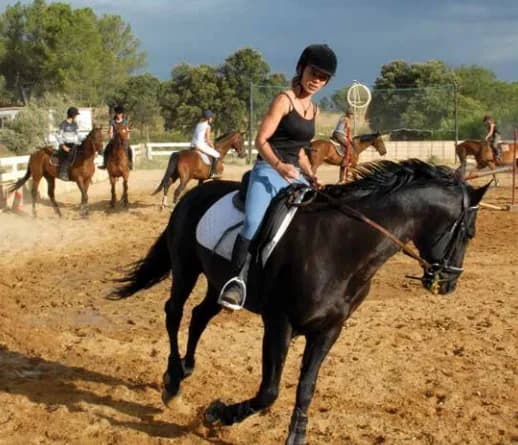 Riding School