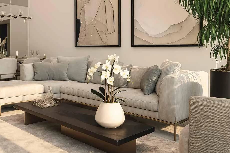Asayel Avenue preview 2