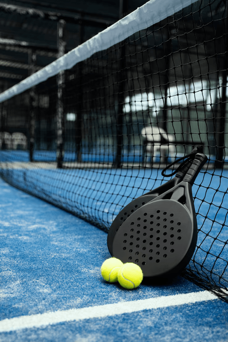 Paddle court