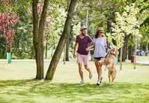 Recreational areas