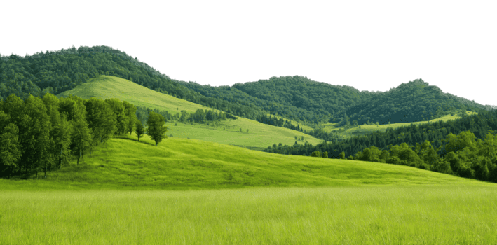 Landscape Open Areas