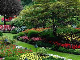Landscaped garden