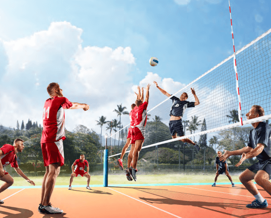 Volleyball Court