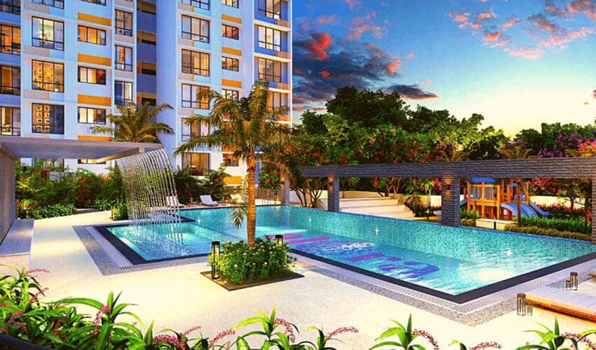 Infinity Pool