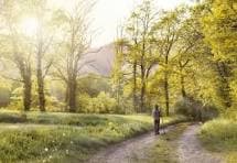Bike path