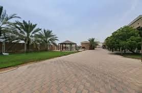 Ragayeb