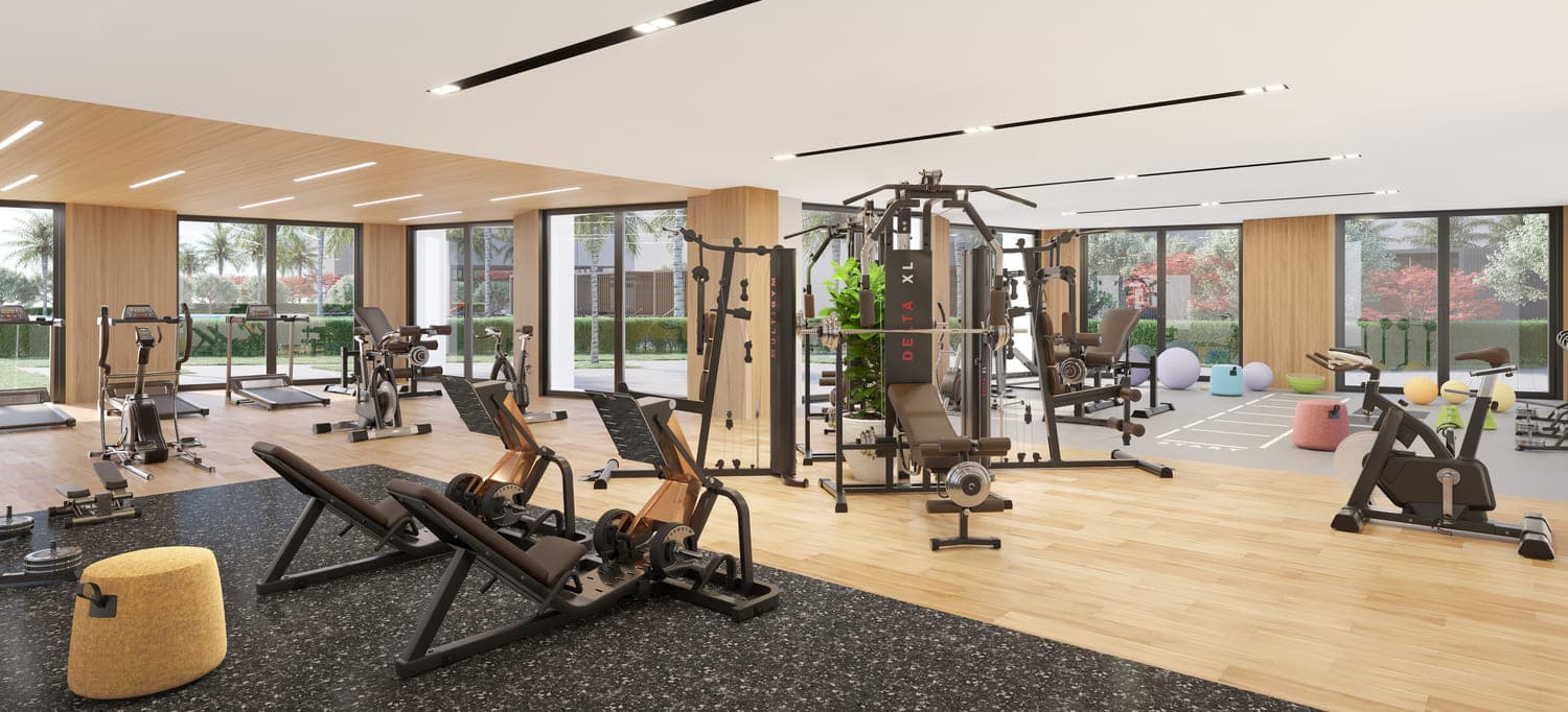 Gymnasium