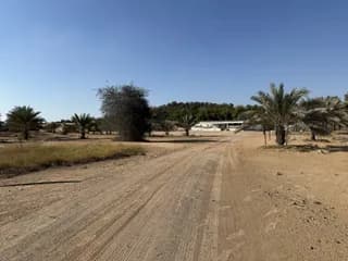 Al Zahya L